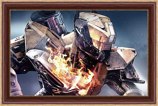 Картина в раме - Destiny Картина в раме - Destiny