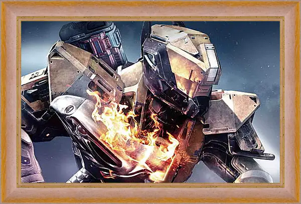 Картина в раме - Destiny Картина в раме - Destiny