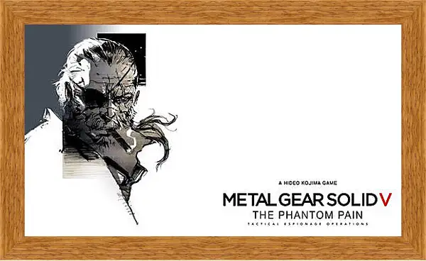 Картина в раме - Metal Gear Solid V: The Phantom Pain
Картина в раме - Metal Gear Solid V: The Phantom Pain