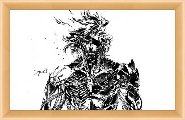 Картина в раме - Metal Gear Rising: Revengeance
Картина в раме - Metal Gear Rising: Revengeance