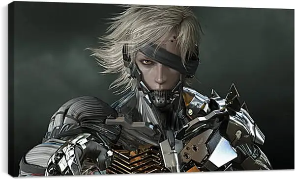 Постер на подрамнике - Metal Gear Rising: Revengeance
Постер на подрамнике - Metal Gear Rising: Revengeance