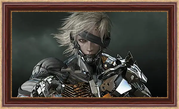 Картина в раме - Metal Gear Rising: Revengeance
Картина в раме - Metal Gear Rising: Revengeance