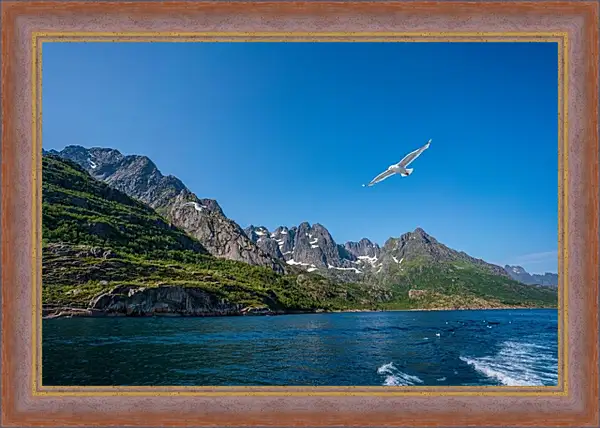 Картина в раме - Чайка Картина в раме - Чайка