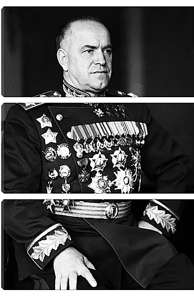 Модульная картина - Георгий Константинович Жуков Модульная картина - Георгий Константинович Жуков