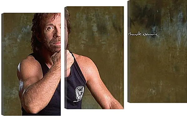 Модульная картина - Чак Норрис. Chuck Norris Модульная картина - Чак Норрис. Chuck Norris
