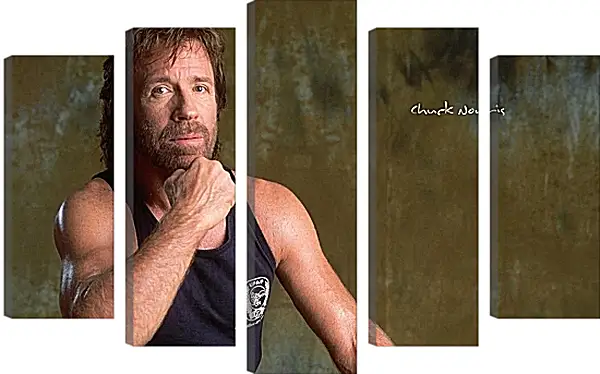 Модульная картина - Чак Норрис. Chuck Norris Модульная картина - Чак Норрис. Chuck Norris