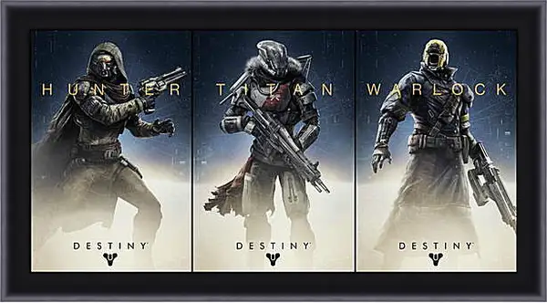 Картина в раме - Destiny Картина в раме - Destiny