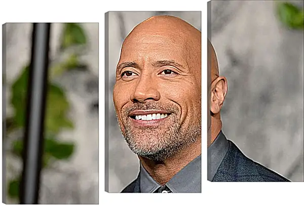 Модульная картина - Dwayne Douglas Johnson. Дуэйн Джонсон (Скала) Модульная картина - Dwayne Douglas Johnson. Дуэйн Джонсон (Скала)