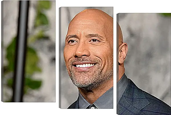 Модульная картина - Dwayne Douglas Johnson. Дуэйн Джонсон (Скала) Модульная картина - Dwayne Douglas Johnson. Дуэйн Джонсон (Скала)