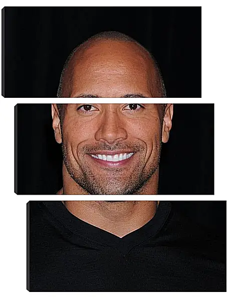 Модульная картина - Dwayne Douglas Johnson. Дуэйн Джонсон (Скала) Модульная картина - Dwayne Douglas Johnson. Дуэйн Джонсон (Скала)