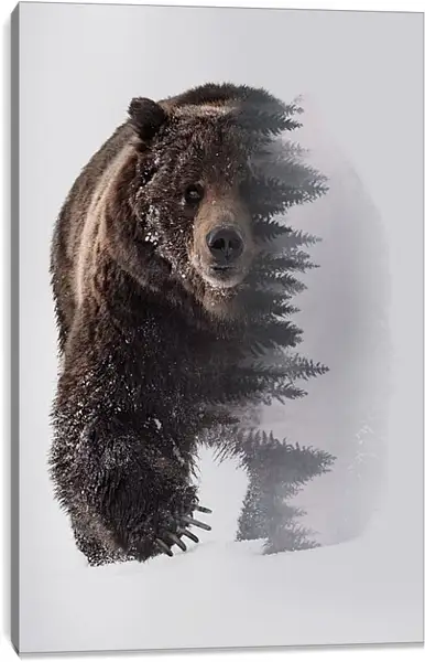 Постер на подрамнике - Медведь. Хозяин леса. Постер на подрамнике - Медведь. Хозяин леса.