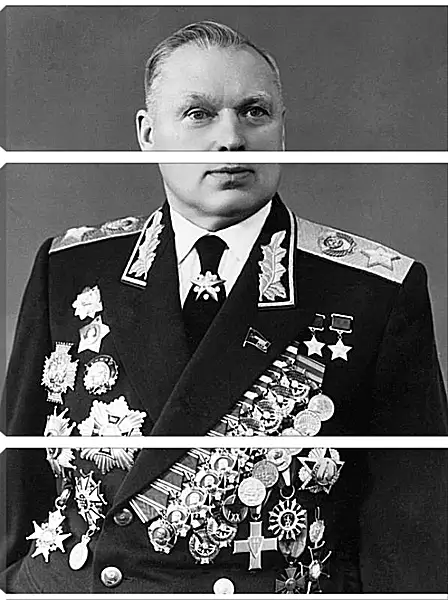 Модульная картина - Константин Константинович Рокоссовский Модульная картина - Константин Константинович Рокоссовский