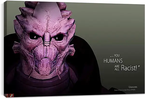 Постер на подрамнике - Mass Effect 2 Постер на подрамнике - Mass Effect 2