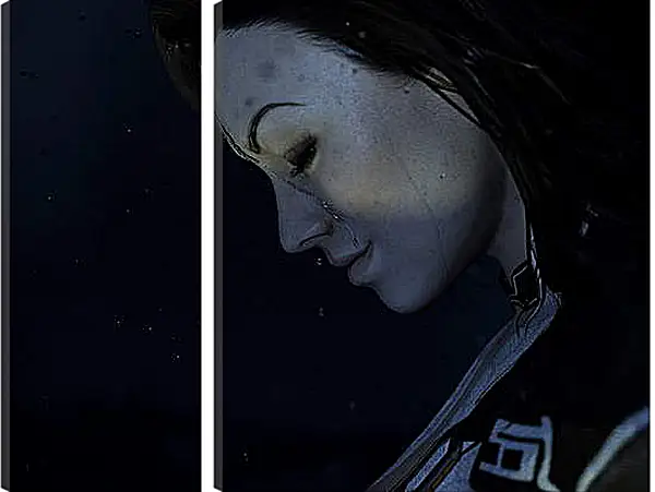 Модульная картина - Mass Effect 2 Модульная картина - Mass Effect 2