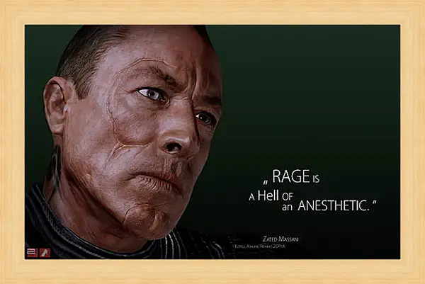 Картина в раме - Mass Effect 2 Картина в раме - Mass Effect 2