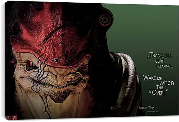 Постер на подрамнике - Mass Effect 2 Постер на подрамнике - Mass Effect 2