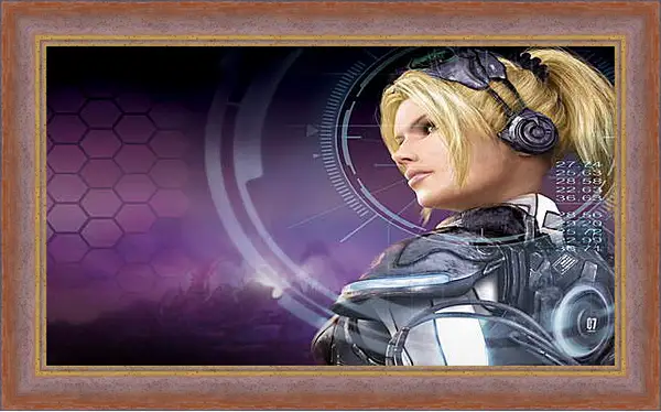 Картина в раме - Starcraft Картина в раме - Starcraft