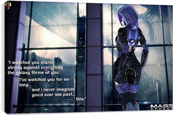 Постер на подрамнике - Mass Effect 2 Постер на подрамнике - Mass Effect 2