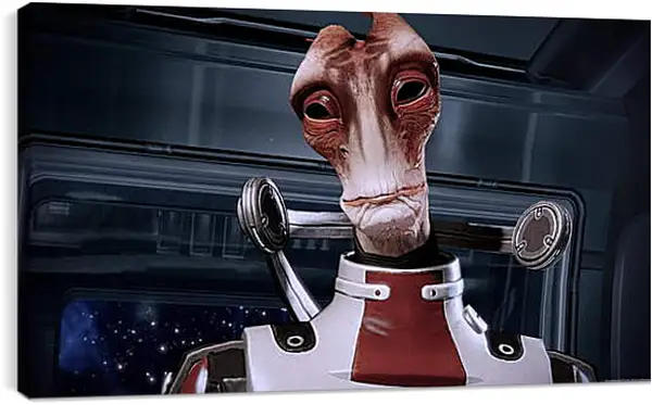 Постер на подрамнике - Mass Effect 2 Постер на подрамнике - Mass Effect 2