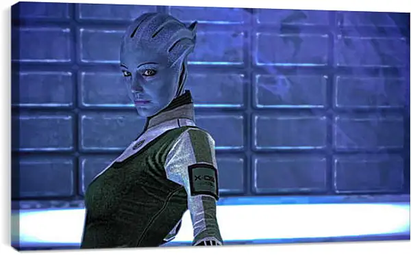 Постер на подрамнике - Mass Effect Постер на подрамнике - Mass Effect