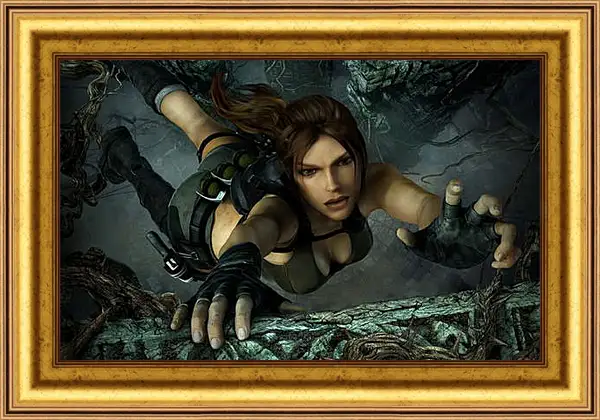Картина в раме - Tomb Raider Картина в раме - Tomb Raider