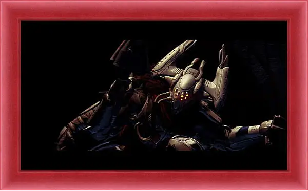 Картина в раме - Destiny Картина в раме - Destiny