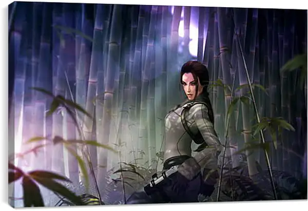 Постер на подрамнике - Tomb Raider Постер на подрамнике - Tomb Raider