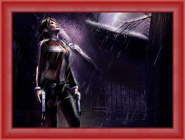Картина в раме - Tomb Raider Картина в раме - Tomb Raider