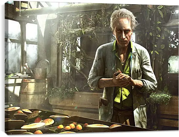 Постер на подрамнике - Far Cry 3 Постер на подрамнике - Far Cry 3