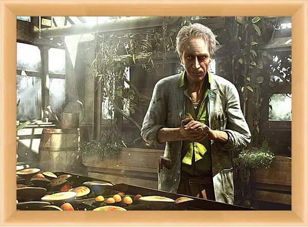 Картина в раме - Far Cry 3 Картина в раме - Far Cry 3