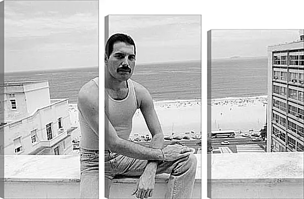 Модульная картина - Freddie Mercury Rio de Janeiro 1985 Модульная картина - Freddie Mercury Rio de Janeiro 1985