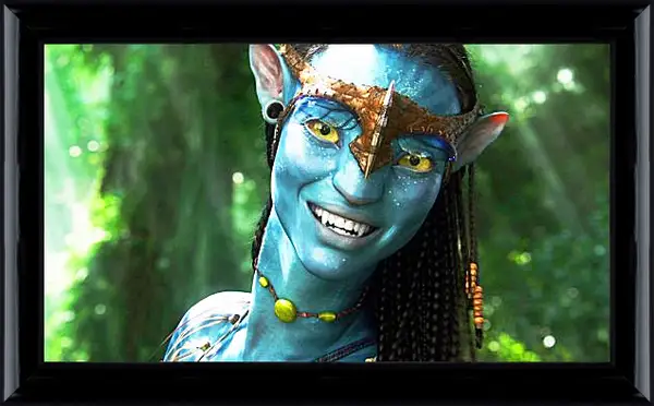 Картина в раме - Аватар. Avatar Картина в раме - Аватар. Avatar