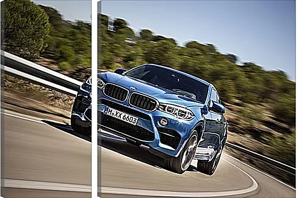 Модульная картина - Синяя BMW В движении Модульная картина - Синяя BMW В движении