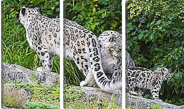 Модульная картина - leopard - Барс Модульная картина - leopard - Барс