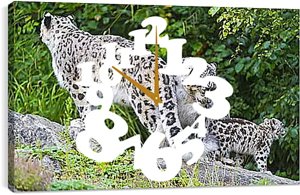 Часы картина - leopard - Барс Часы картина - leopard - Барс