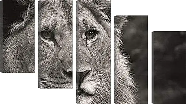 Модульная картина - leon - лев Модульная картина - leon - лев