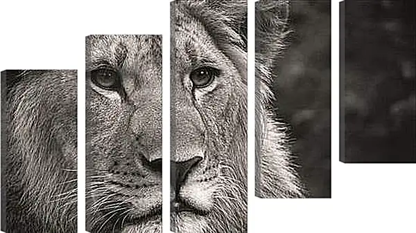 Модульная картина - leon - лев Модульная картина - leon - лев