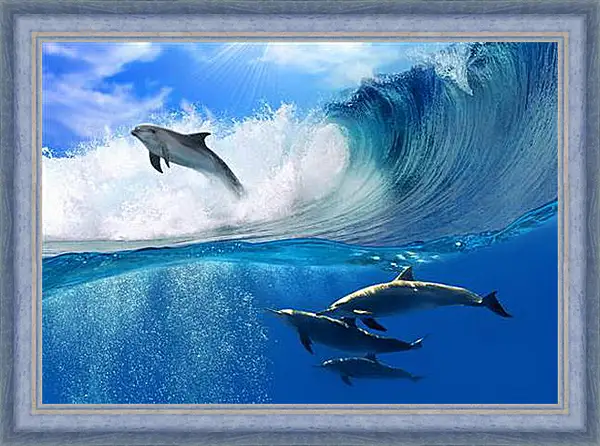 Картина в раме - delfines - дельфины Картина в раме - delfines - дельфины