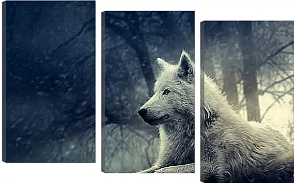 Модульная картина - wolf - волк Модульная картина - wolf - волк