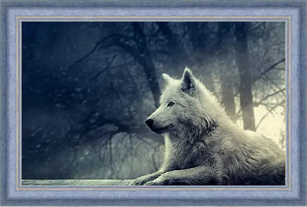 Картина в раме - wolf - волк Картина в раме - wolf - волк