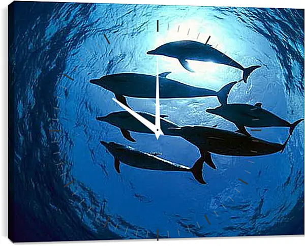 Часы картина - Dolphin - Дельфины Часы картина - Dolphin - Дельфины