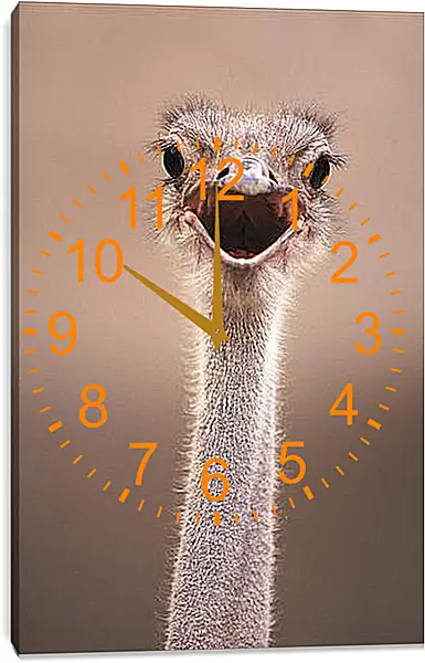 Часы картина - Ostrich - Страус Часы картина - Ostrich - Страус