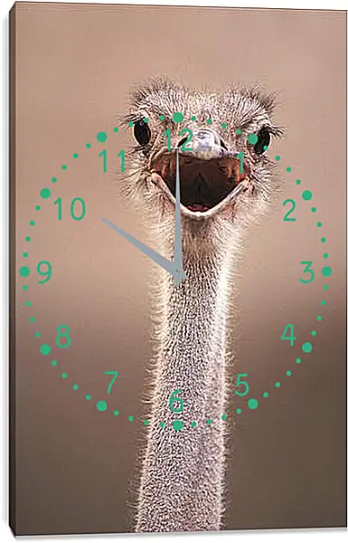 Часы картина - Ostrich - Страус Часы картина - Ostrich - Страус