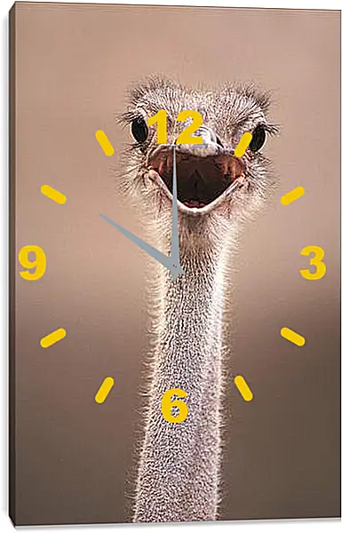 Часы картина - Ostrich - Страус Часы картина - Ostrich - Страус