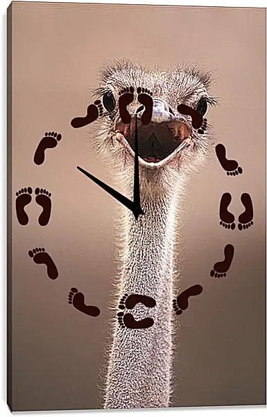 Часы картина - Ostrich - Страус Часы картина - Ostrich - Страус