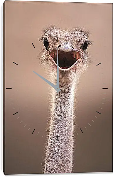 Часы картина - Ostrich - Страус Часы картина - Ostrich - Страус