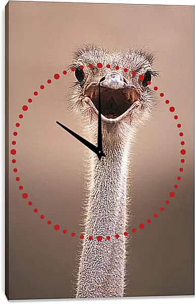 Часы картина - Ostrich - Страус Часы картина - Ostrich - Страус