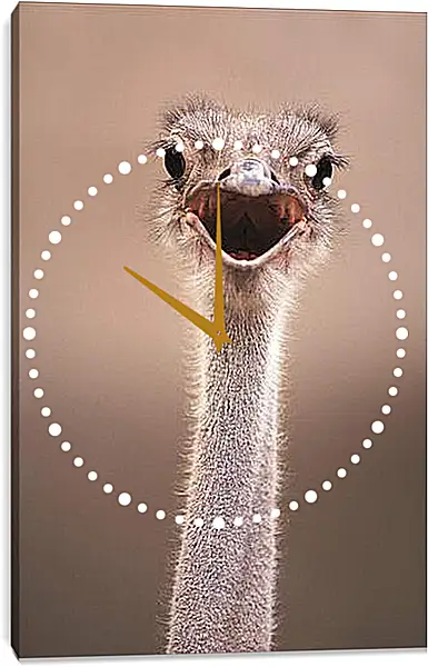 Часы картина - Ostrich - Страус Часы картина - Ostrich - Страус