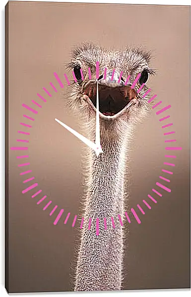 Часы картина - Ostrich - Страус Часы картина - Ostrich - Страус