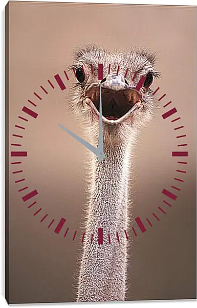 Часы картина - Ostrich - Страус Часы картина - Ostrich - Страус